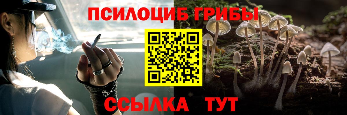 Псилоцибиновые грибы MAGIC MUSHROOMS  Вход с VPN  Ярцево 